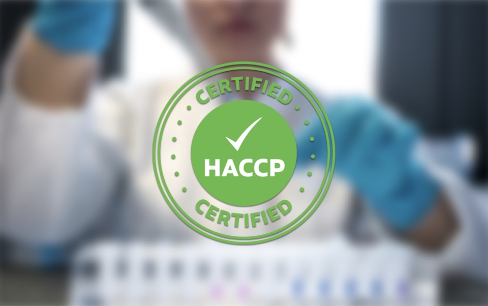 Цифровизация промышленности