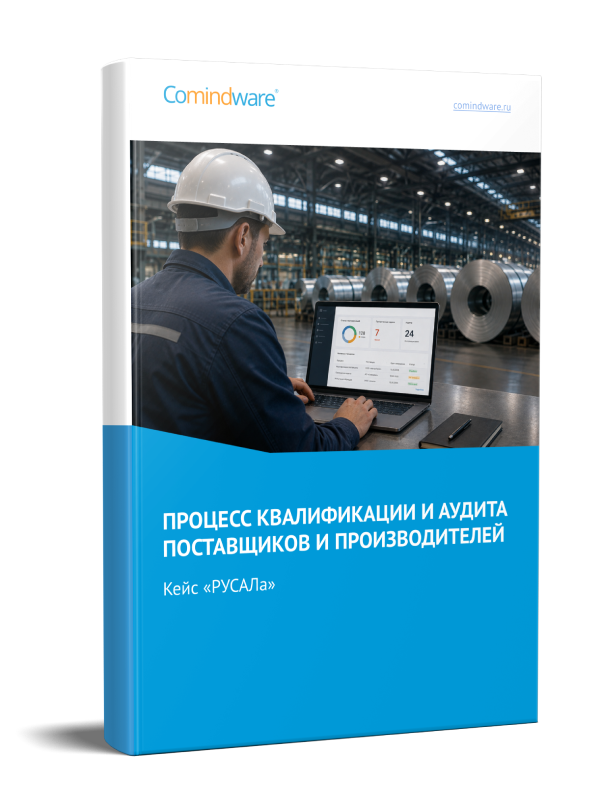 Кейс «РУСАЛа»