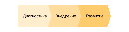 стадии внедрения bpm-системы